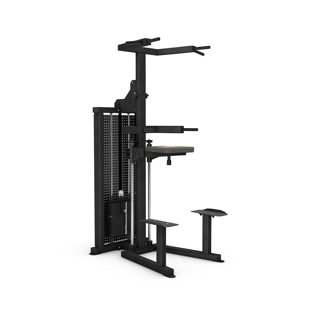 Chin / Dip Assist - Contact Store