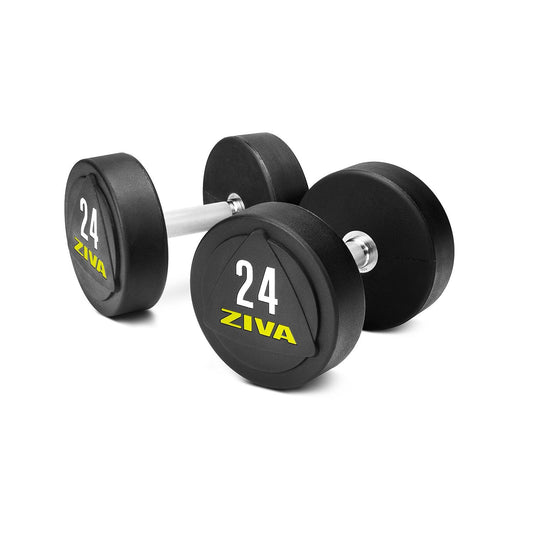 Solid Steel Urethane Studio Dumbbell - Contact Store