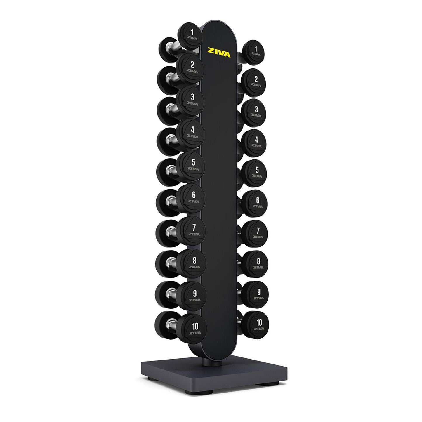 Vertical Studio Dumbbell Rack 1 - 10 kg - Contact Store